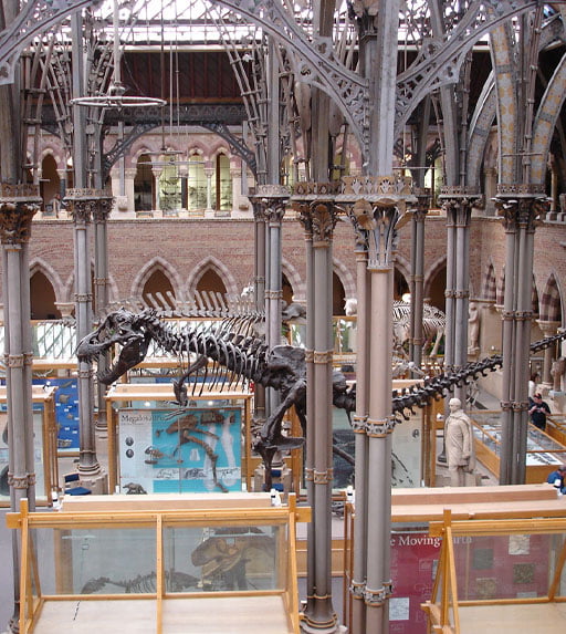 Natural History Museum Natural History Museum